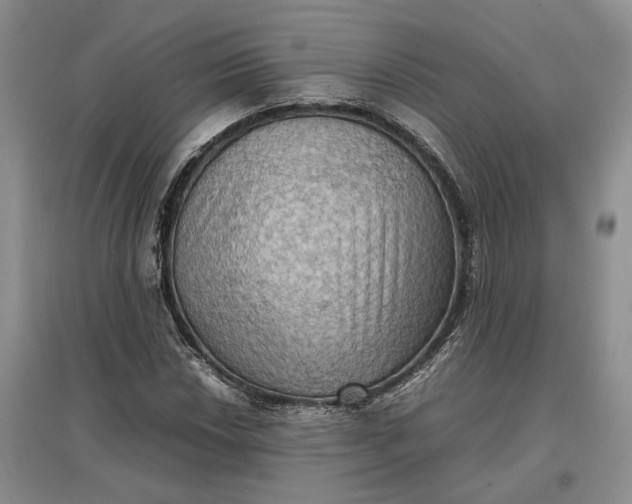 X0000097601018200803141912