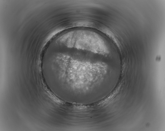 X0000097601019200803141912