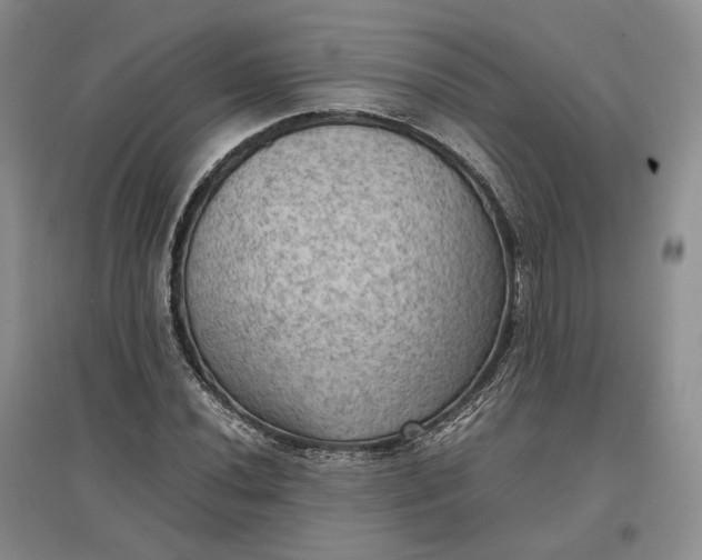 X0000097601020200803141912