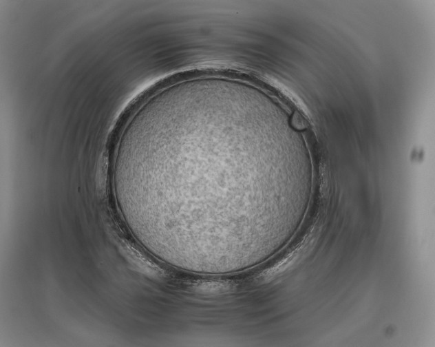 X0000097601021200803141912