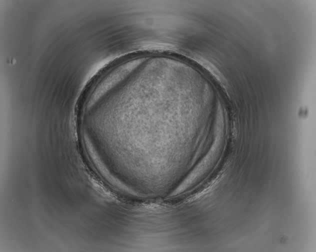 X0000097601022200803141912