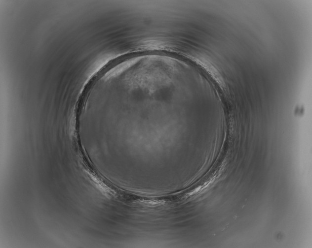 X0000097601023200803141912