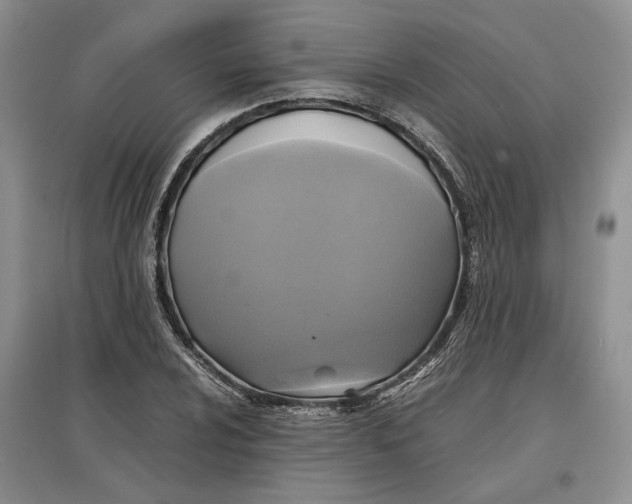X0000097601024200803141912