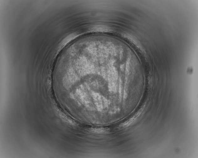 X0000097601025200803141912