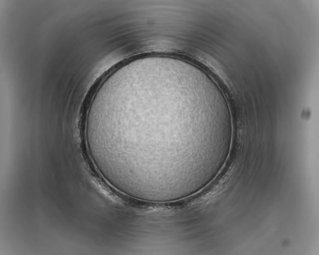 X0000097601026200803141912