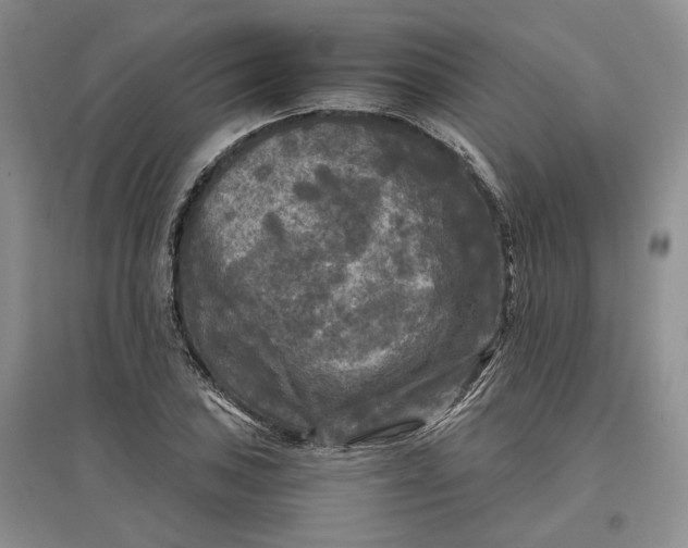 X0000097601027200803141912