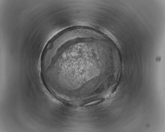X0000097601028200803141912
