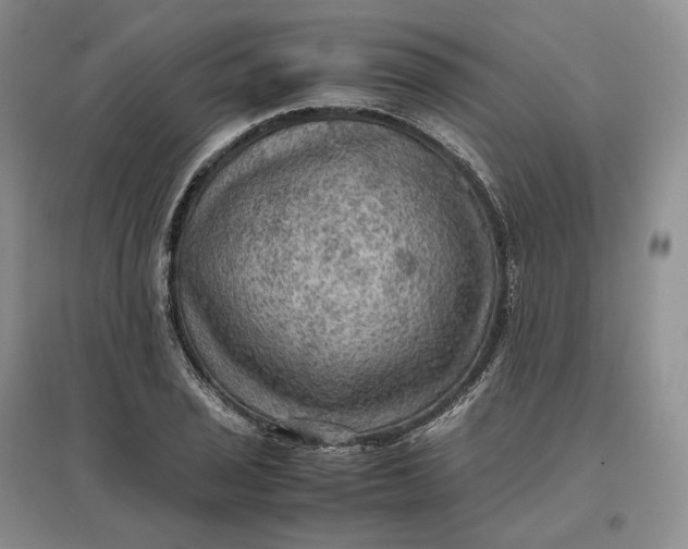 X0000097601029200803141912