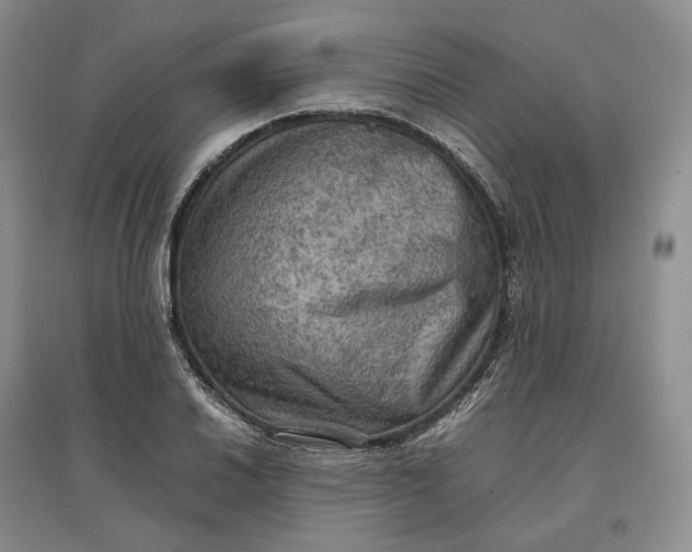 X0000097601030200803141912