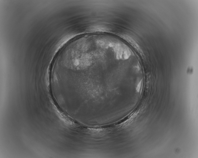 X0000097601031200803141912