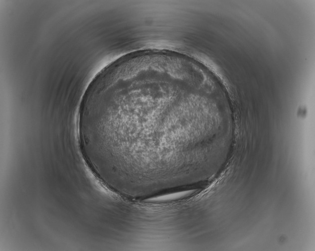 X0000097601032200803141912