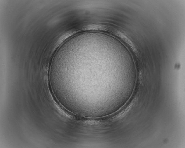 X0000097601033200803141912