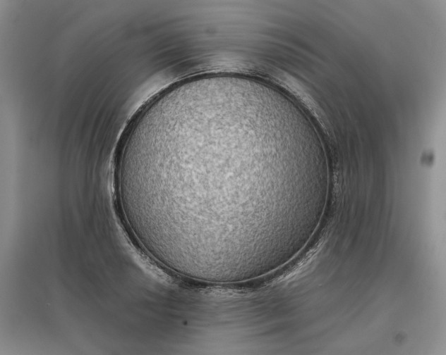 X0000097601034200803141912