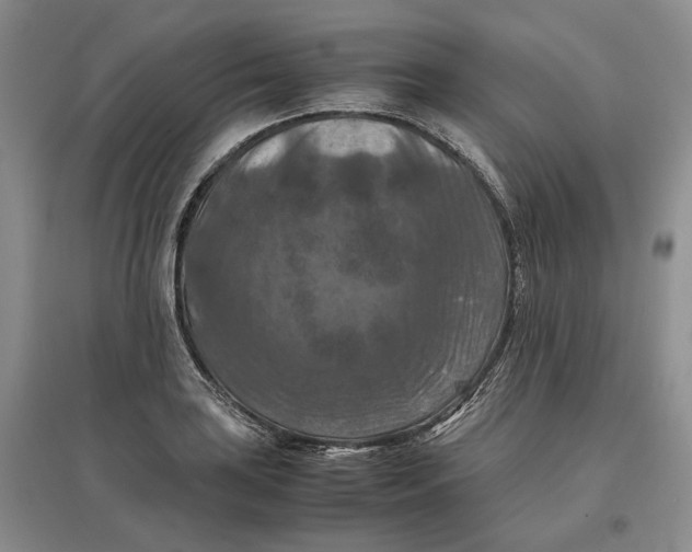 X0000097601035200803141912