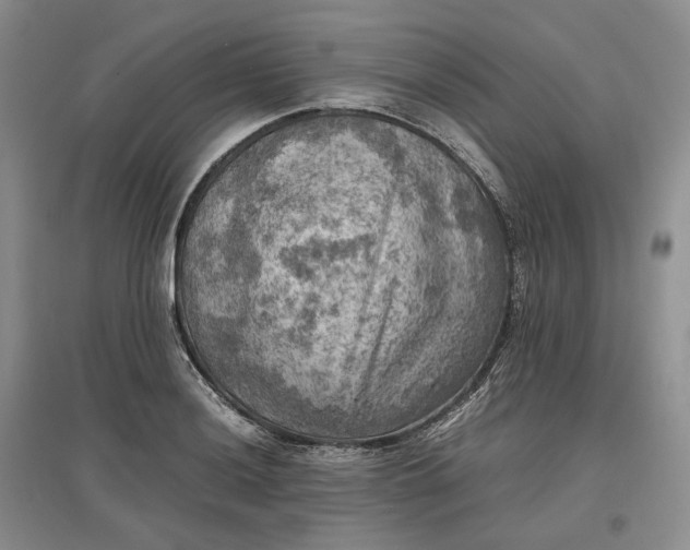 X0000097601036200803141912