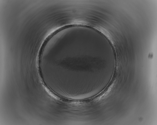 X0000097601037200803141912