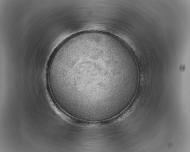 X0000097601038200803141912