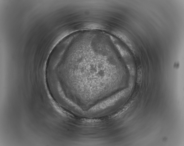 X0000097601039200803141912