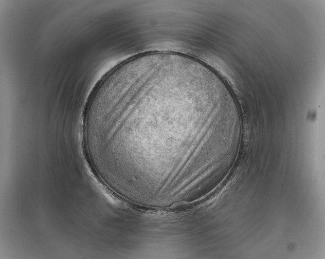 X0000097601040200803141912