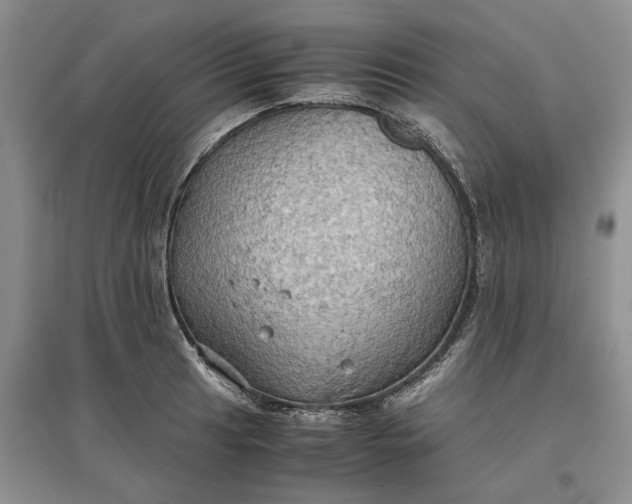 X0000097601041200803141912