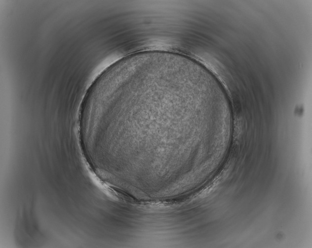 X0000097601042200803141912
