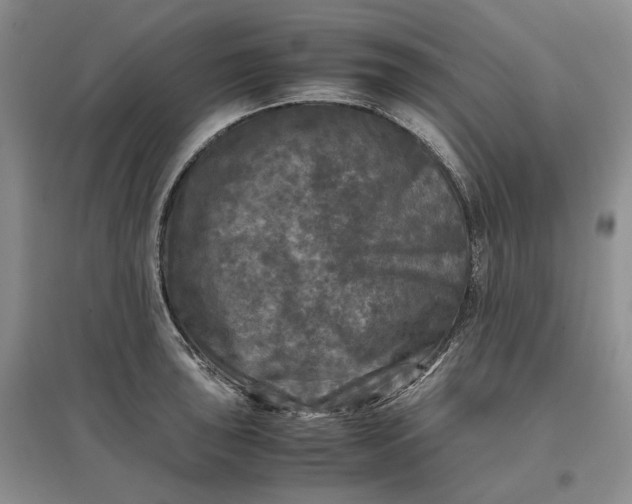 X0000097601043200803141912