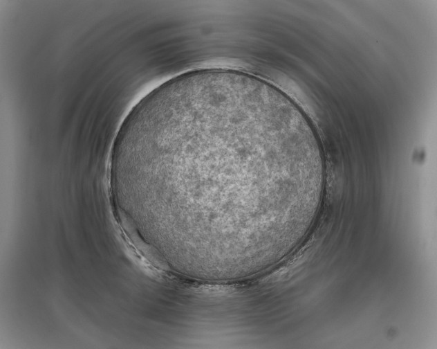 X0000097601044200803141912