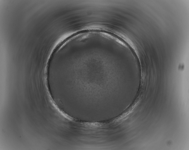 X0000097601045200803141912