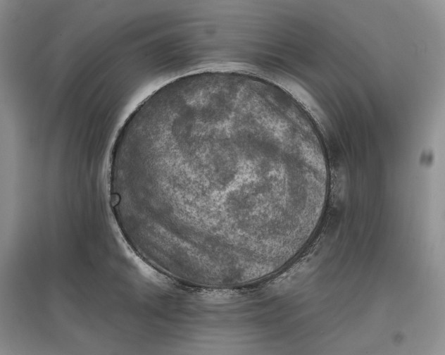 X0000097601046200803141912