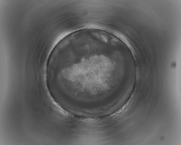 X0000097601048200803141912
