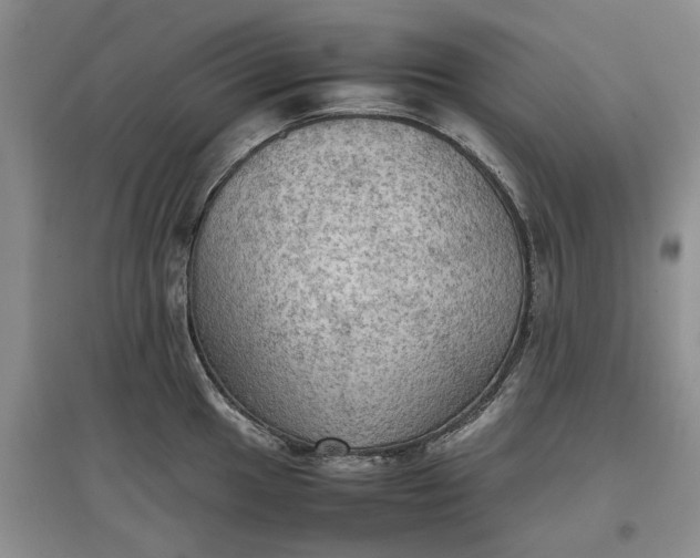 X0000097601049200803141912