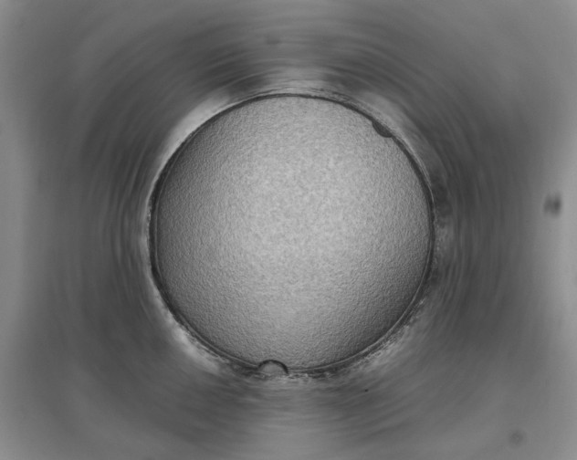 X0000097601050200803141912