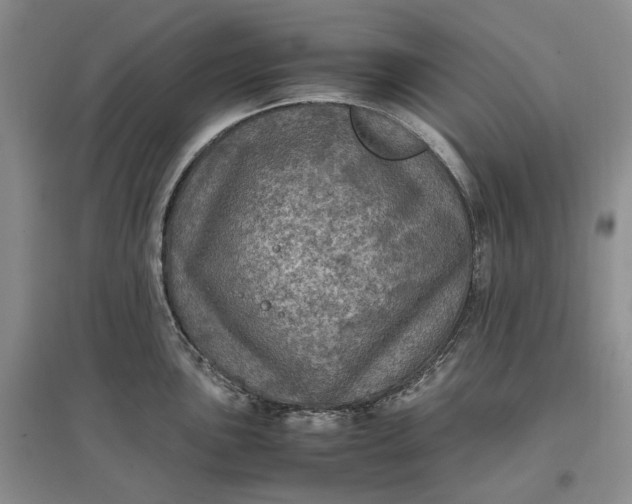 X0000097601051200803141912