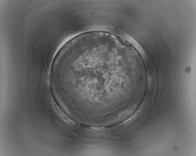 X0000097601052200803141912