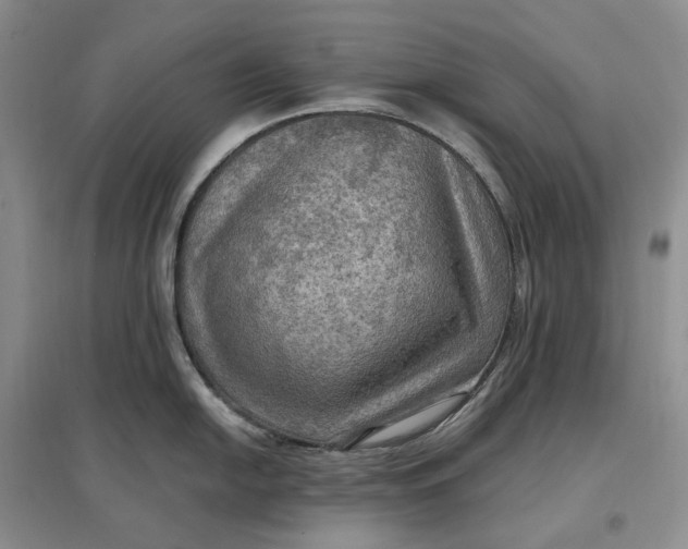 X0000097601054200803141912