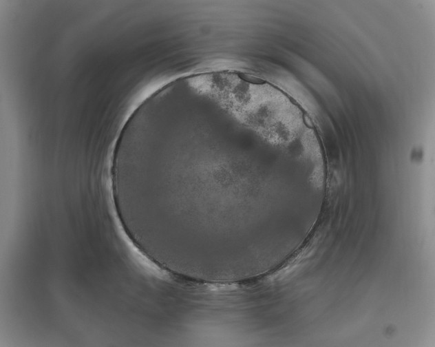 X0000097601055200803141912