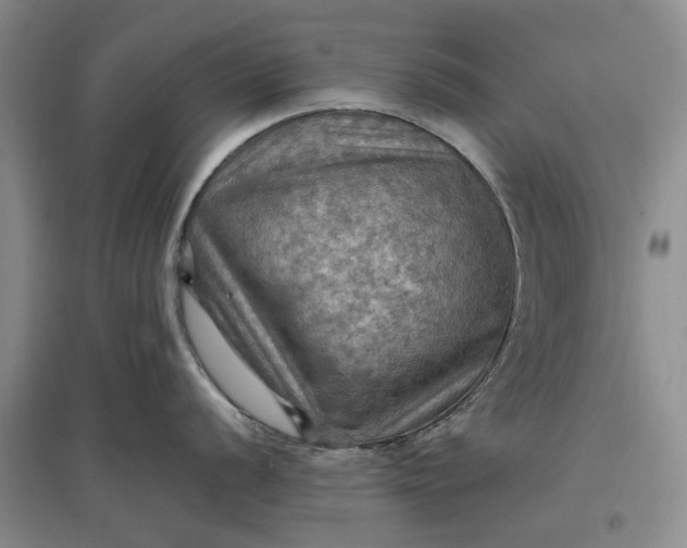 X0000097601056200803141912