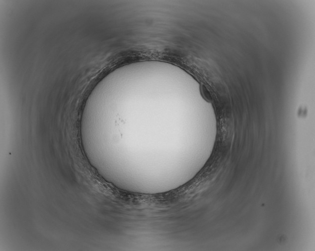X0000097601057200803141911