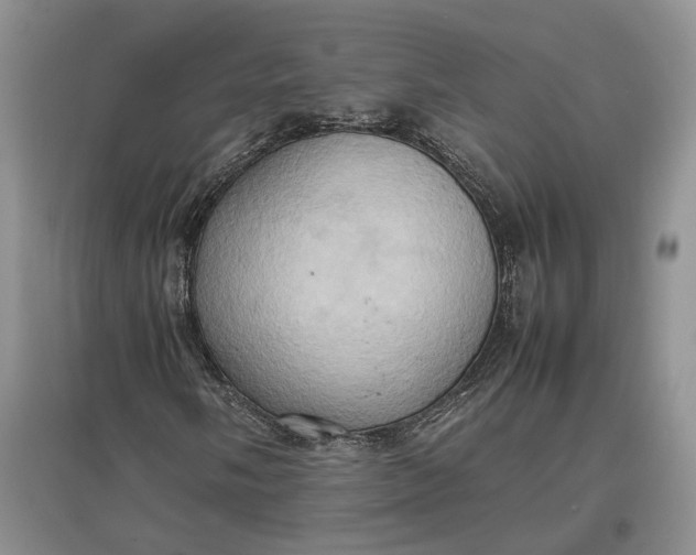 X0000097601058200803141911