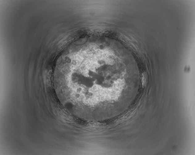 X0000097601059200803141911