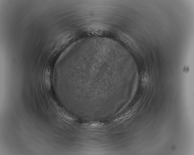 X0000097601060200803141911