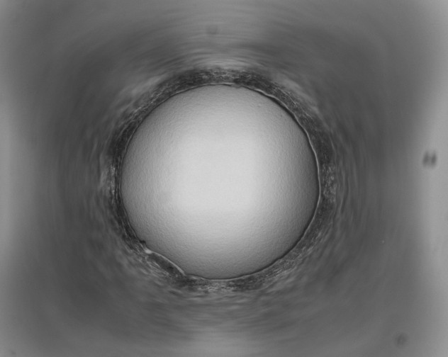 X0000097601061200803141911