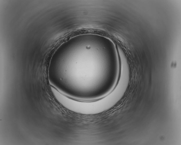 X0000097601062200803141911