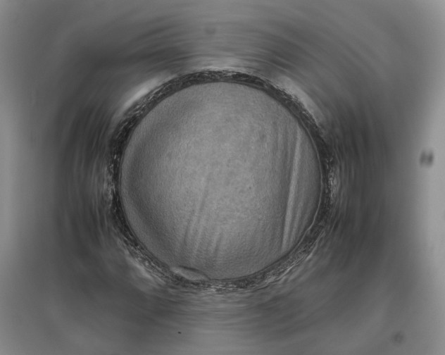 X0000097601064200803141911