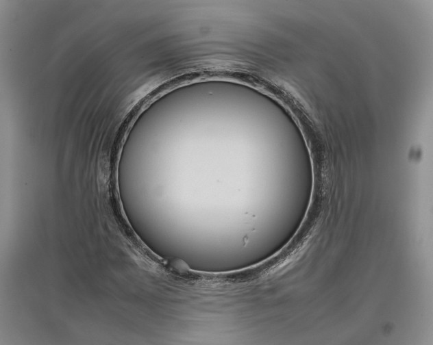 X0000097601065200803141911