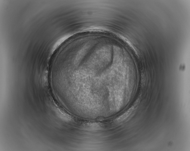 X0000097601066200803141911