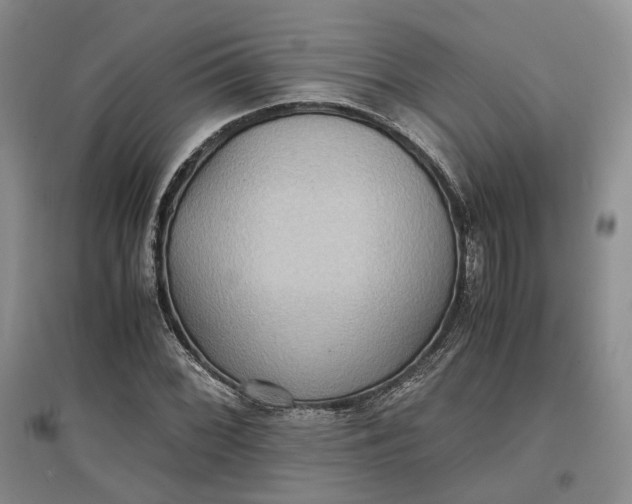 X0000097601068200803141911