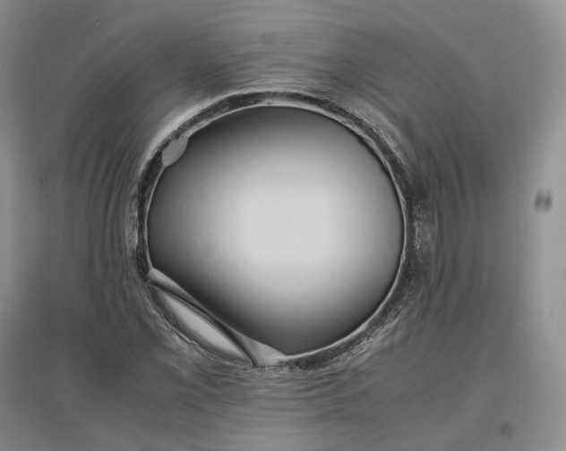X0000097601069200803141911