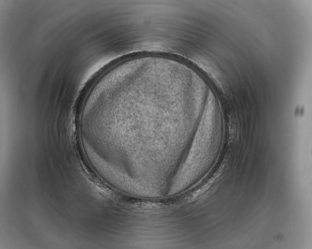 X0000097601070200803141911