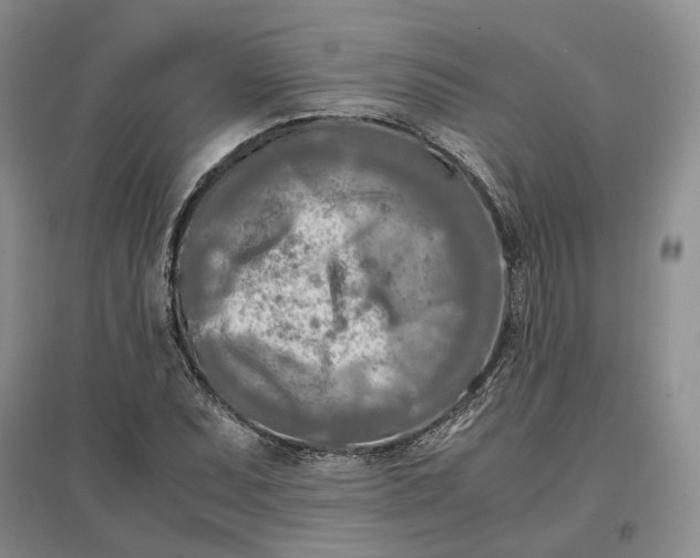 X0000097601071200803141911